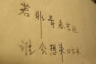 一个美丽的词