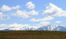 摘抄描写安静的句子