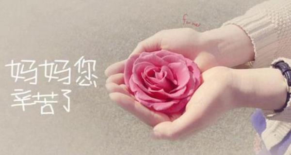 并感谢我的母亲