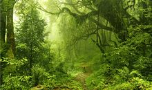 悲观厌世的句子