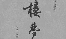 描写红楼梦的句子