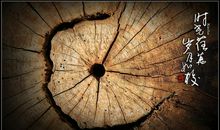 时光荏苒的句子唯美