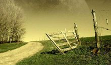 对一个男人和家庭失望的句子