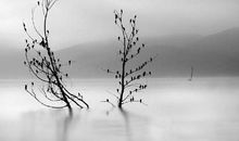 对父母的失望的句子