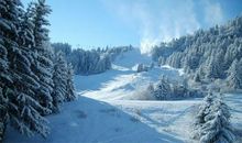 古风诗意的句子