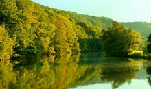 关于勇气励志句子2020