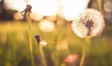 悲伤古风小说经典句子集锦