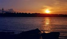 无能为力的句子 有些事无能为力的说说