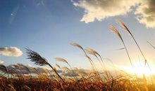 疫情过后要珍惜的朋友圈句子