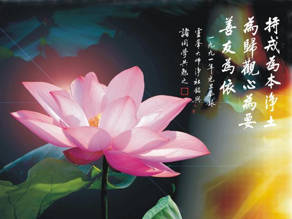 老师是母亲般的爱