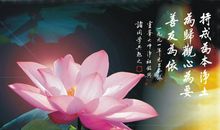 适合教师的格言座右铭