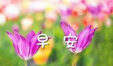 早上问候情人短信