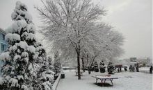 描写冬景的片段