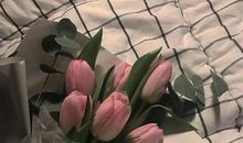 我想要你每天都开心的句子