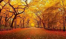 描写秋天的优美句子