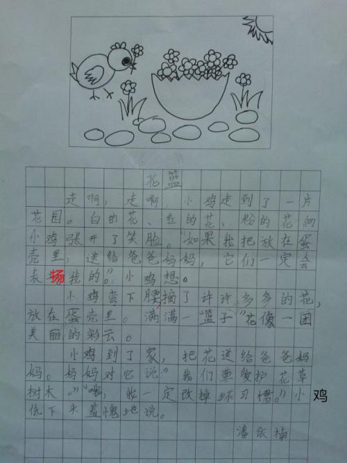 关于鸡