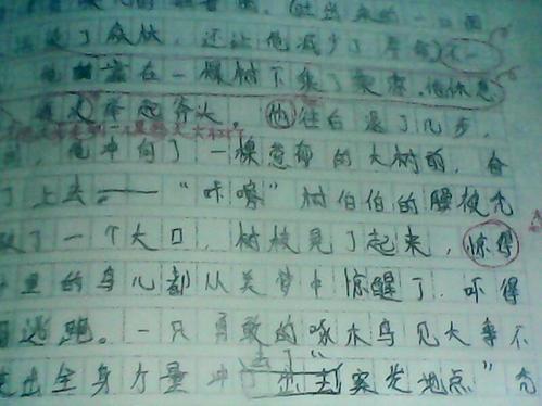当谈到啄木鸟时