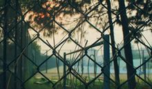 秋天唯美的爱情诗句