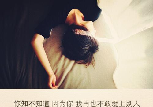 感情没有公式