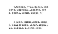 给领导的元宵节短信