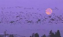 对男人失望心凉励志的句子说说心情