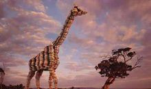 创意公益环保广告语大全