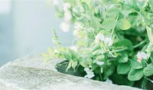 记忆力严重下降的说说 感慨记忆力差的说说