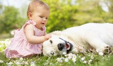 一个人带娃的心酸说说 独自带娃的心酸说说