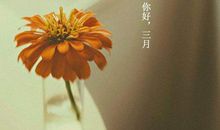 关于三月的唯美句子、图片 二月再见三月你好