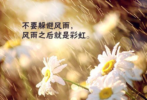 如果您决定这样做