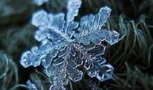 下雪天的佳句 关于下雪天好词好段