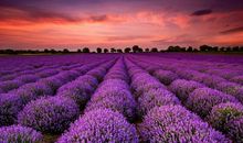 适合发说说的小年夜祝福语