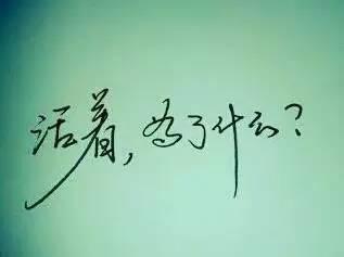 你正在为自己的未来而努力