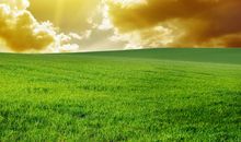 微信周末短信问候客户