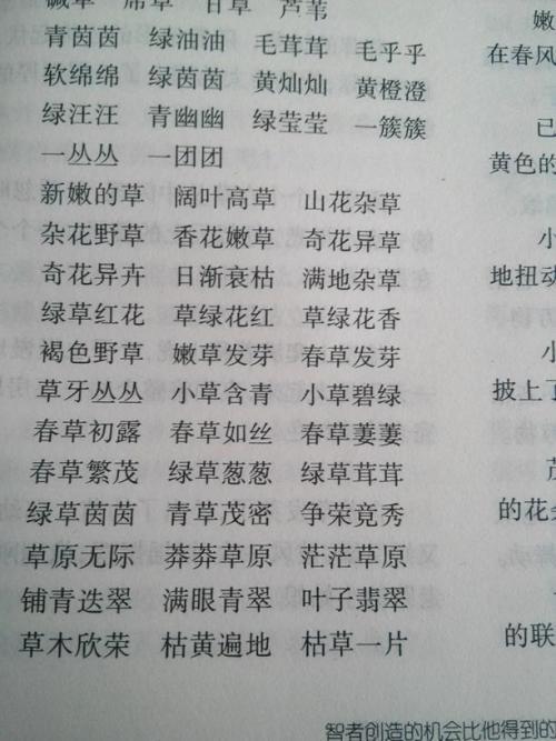   描述颜色的成语  1