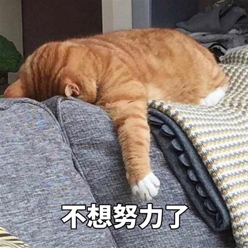 如果做得好