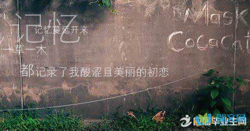 看着雾中的花朵