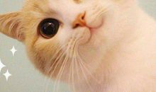 男人希望我开心幸福的句子