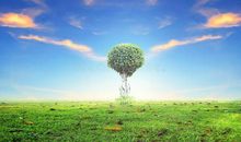 环境描写渲染开心的句子