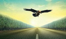 关于向往未来的名言