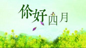 没有暴雨