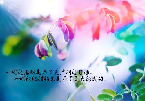 如果您不犹豫