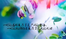 吸引人点击的抖音文案 抖音能获赞的文案