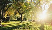 2020新年早安心语 新年第一天早安的说说