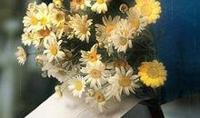 天堂一路走好祝福语