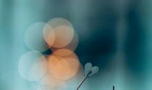 心情语录2019心情随笔