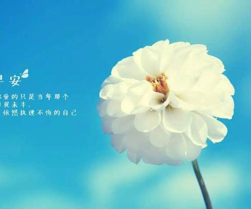 美好的一天从早晨开始
