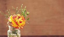 形容对身边人失望的句子