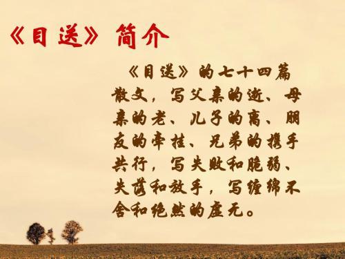 关于目送的好词好句 0
