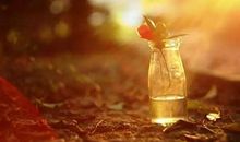 对一个人人品失望的句子